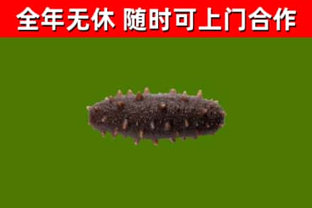 离石区烟酒回收干海参.jpg